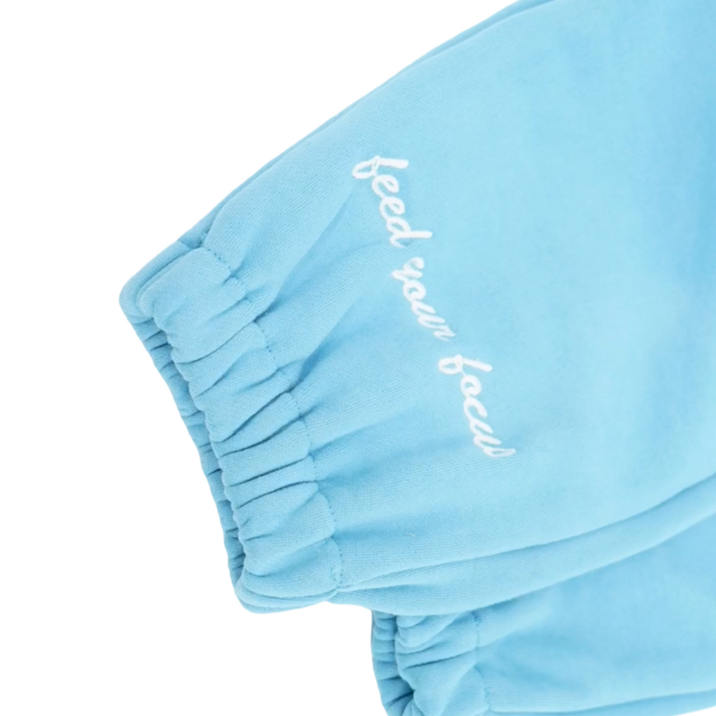 SKY BLUE JOGGER